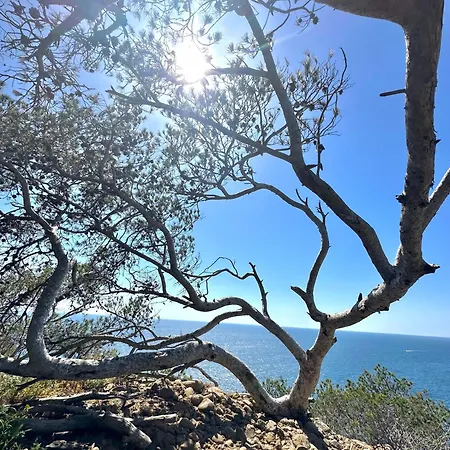 Apartamento L'alceste